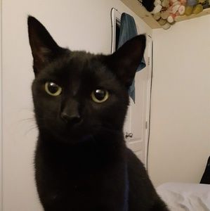 Meet your Posher, Catherine